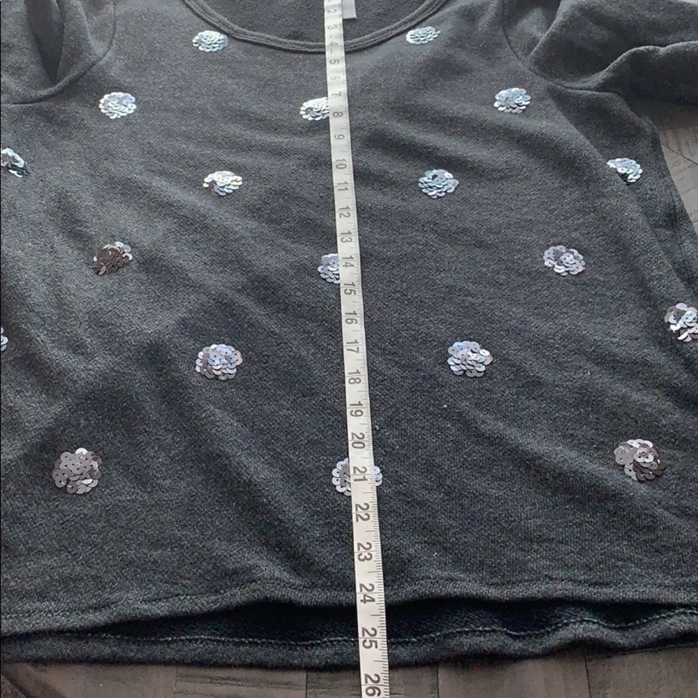 Aerie charcoal grey sweater with sequin